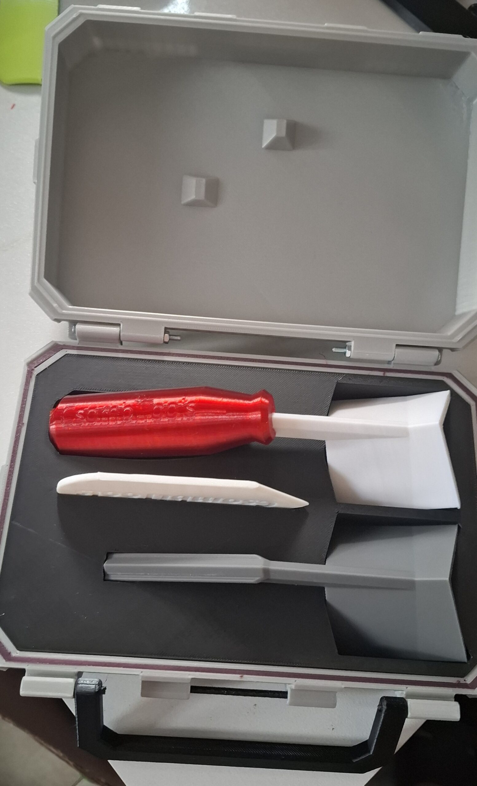 Gérkanalak kofferben